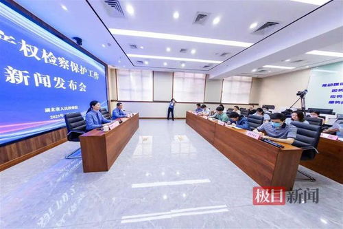 湖北通報(bào)知識(shí)產(chǎn)權(quán)檢察保護(hù)典型案例 侵權(quán)影片2200余部，8人因從事廣告業(yè)務(wù)獲刑